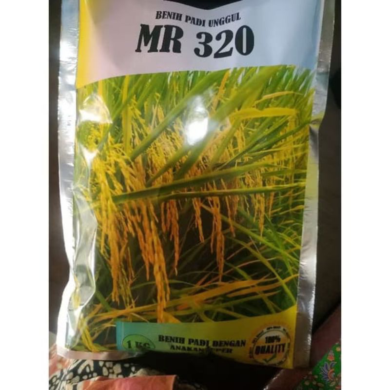 Benih padi MR 320 Premium 1 kg