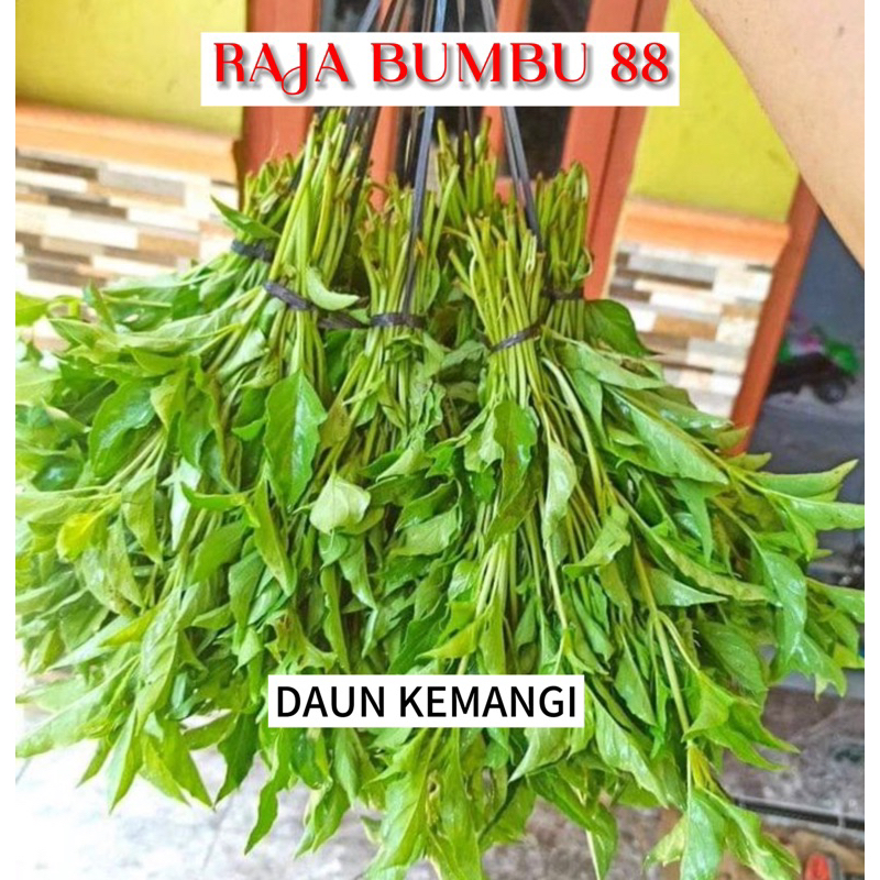 

DAUN KEMANGI 1 ikat kecil