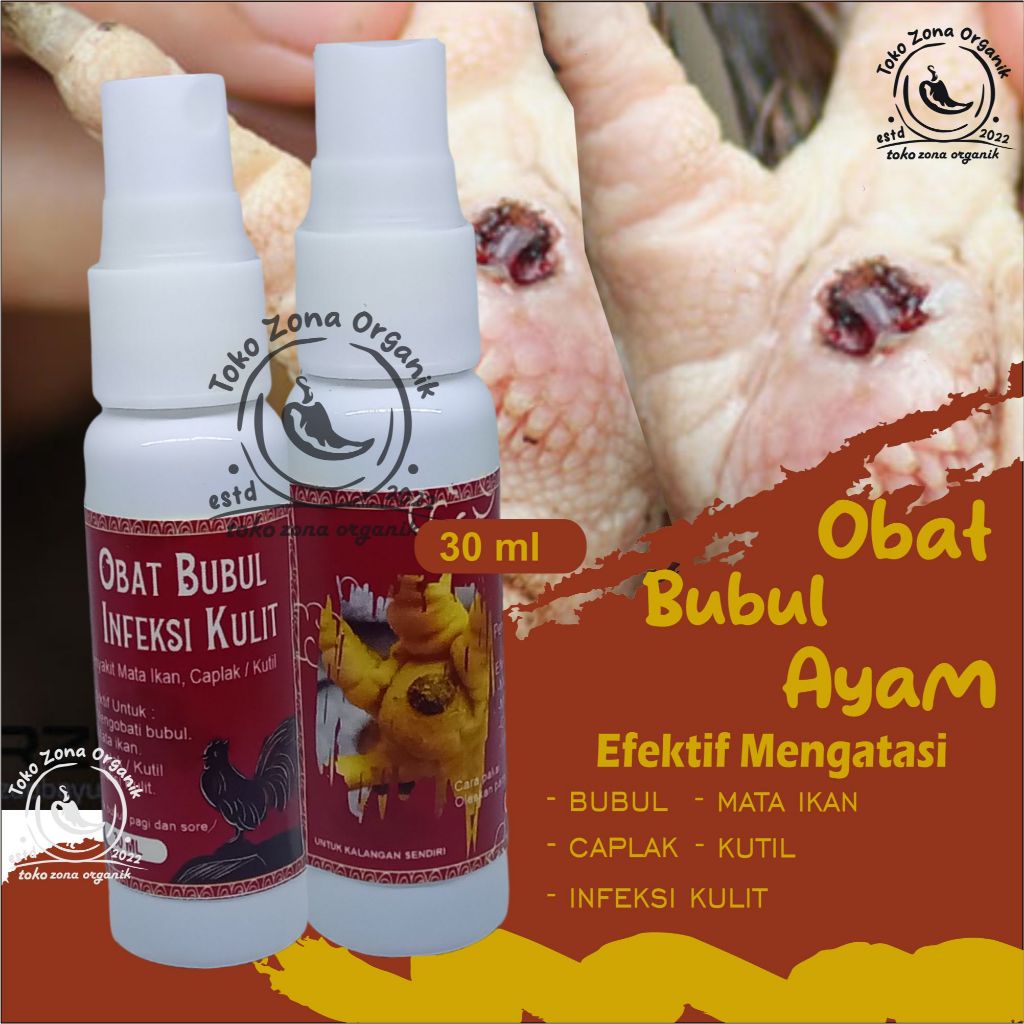 OBAT BUBUL AYAM BASAH KAKI GATAL BENGKAK IRITASI BERNANAH