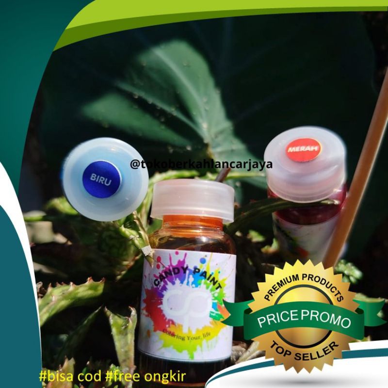 

(OLES) 12,5 ML CAT AKRILIK CAT SEPATU CAT REFLEKTOR CANDY PAINT CAT VELG MOTOR DAN MOBIL CAT KROM CANDY PAINT