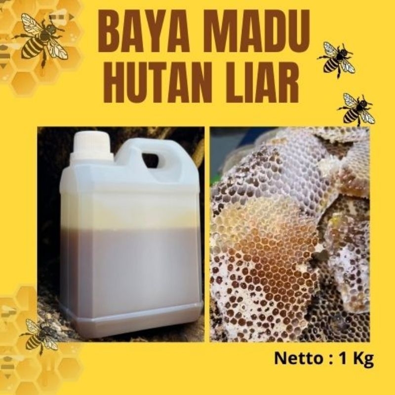 

Madu Liar Hutan Asli 100% Murni 1kg