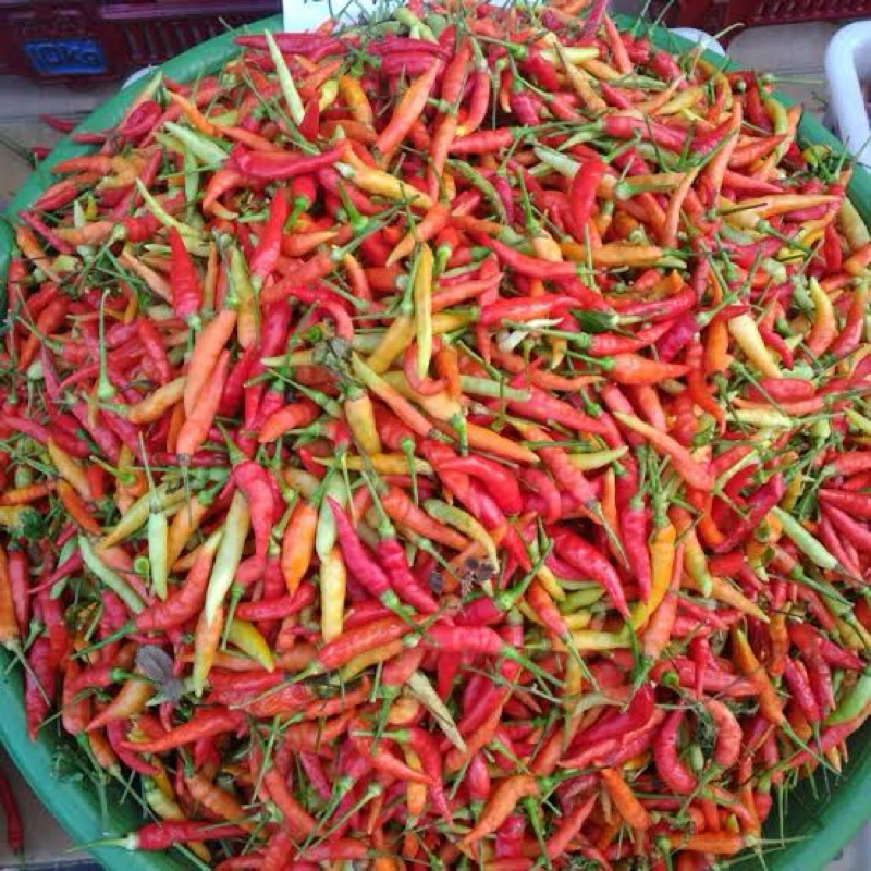 

Bisa COD!! Cabe cabai ori rawit 1kg