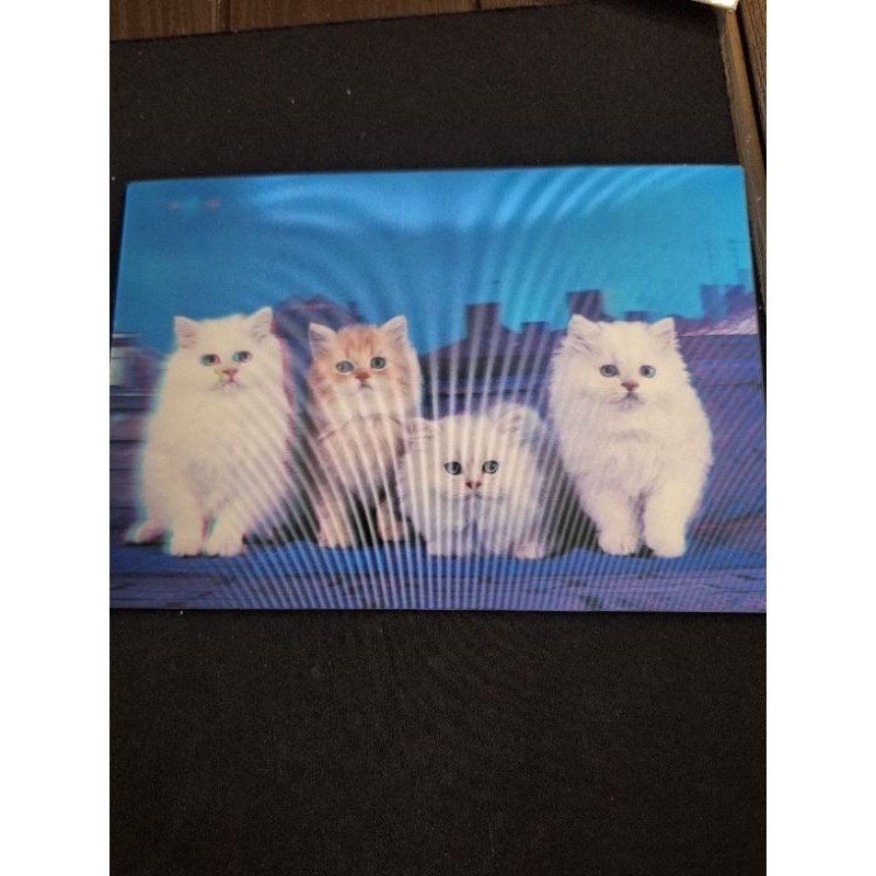 

kartu pos 3D kucing cat 3D postcard