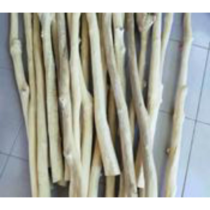 batang kayu senggani kupas isi 20 batang