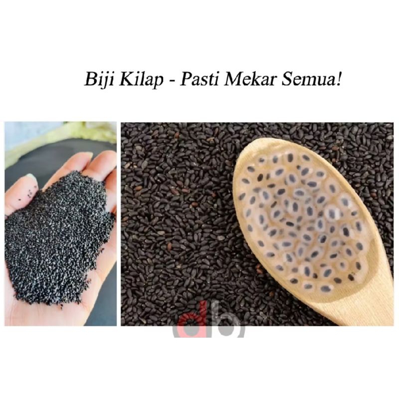 

biji selasih