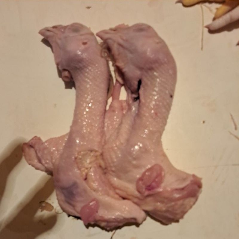 

kepala ayam fresh 1kg