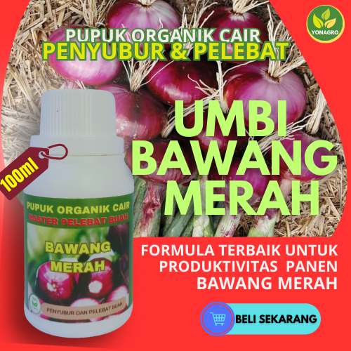 Pupuk Pembesar Umbi Bawang Merah/Pupuk Organik Booster Pelebat Umbi Bawang Merah/Pupuk Bawang Merah.