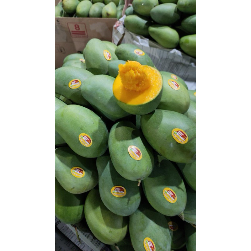

mangga Klonal Gadung 1kg
