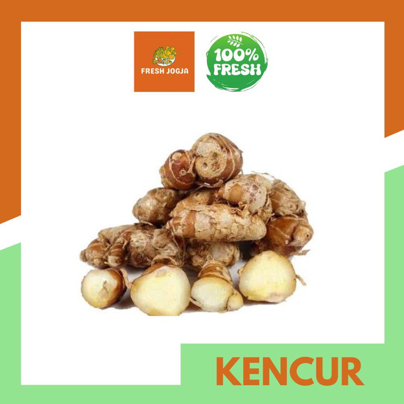 

Kencur per 100gr | Fresh Jogja