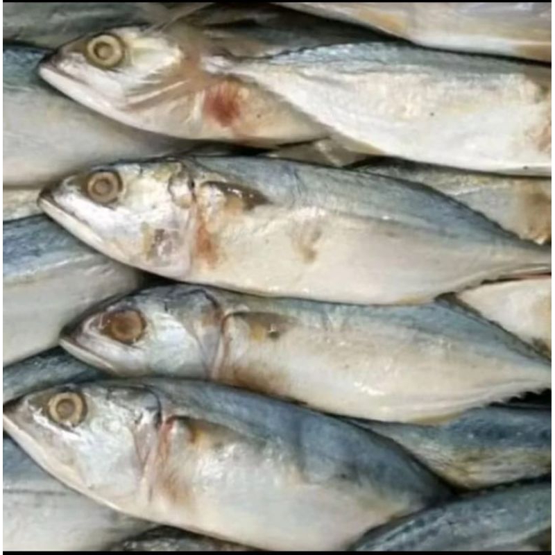 

ikan asin Peda ,harga termurah khas kampung33