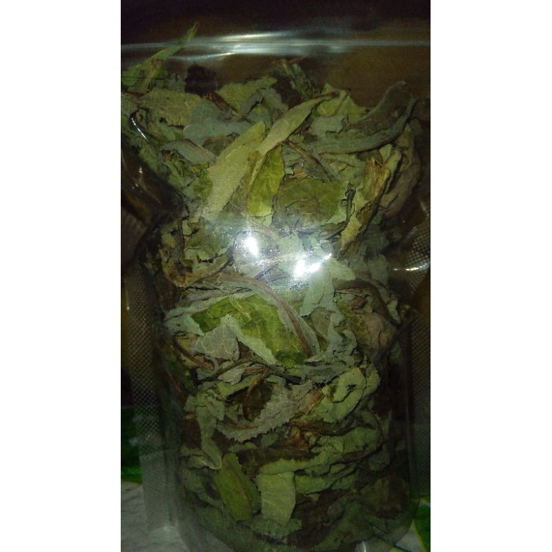 

daun tempuyung kering bayak hasiat yah