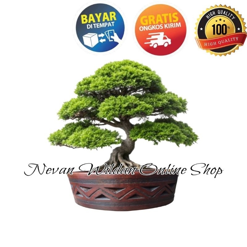 POT BONSAI TANAH LIAT | POT BONSAI GERABAH | POT BONSAI UNIK | POT TANAMAN