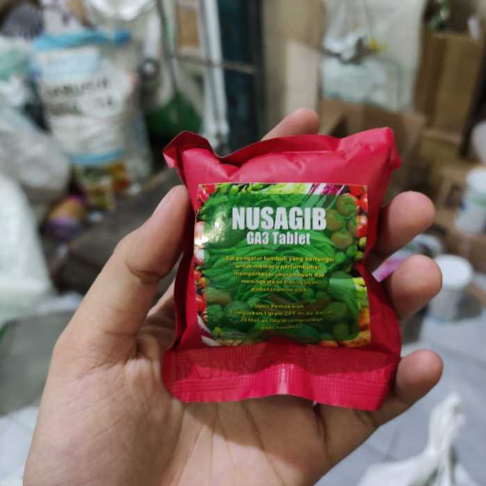 NUSAGIB GA3 TABLET