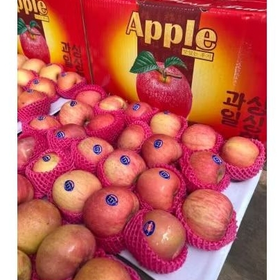

Jual Apel Fuji Dus Merah Per 1 DUS karton