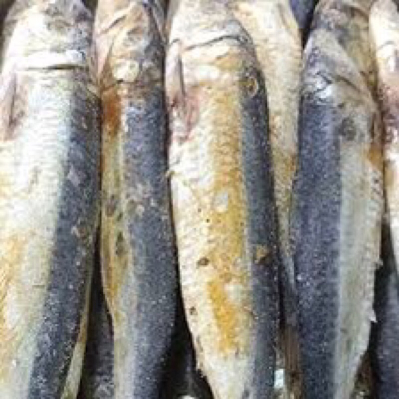 Ikan Asin Japuh 100 gram ikan asin bogor sayuran bogor