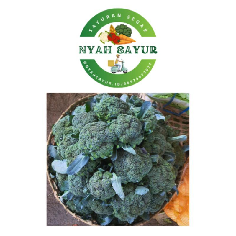 

Brokoli Segar 1pcs