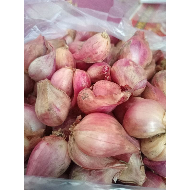 

bawang merah lokal
