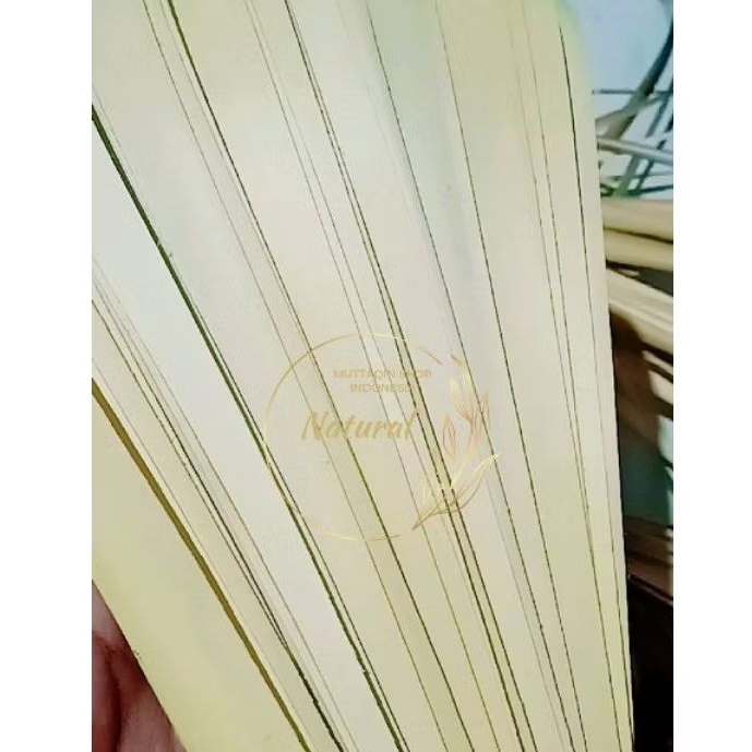 Daun Lontar / Siwalan / Ental MUDA Bahan Anyaman (ORIGINAL)