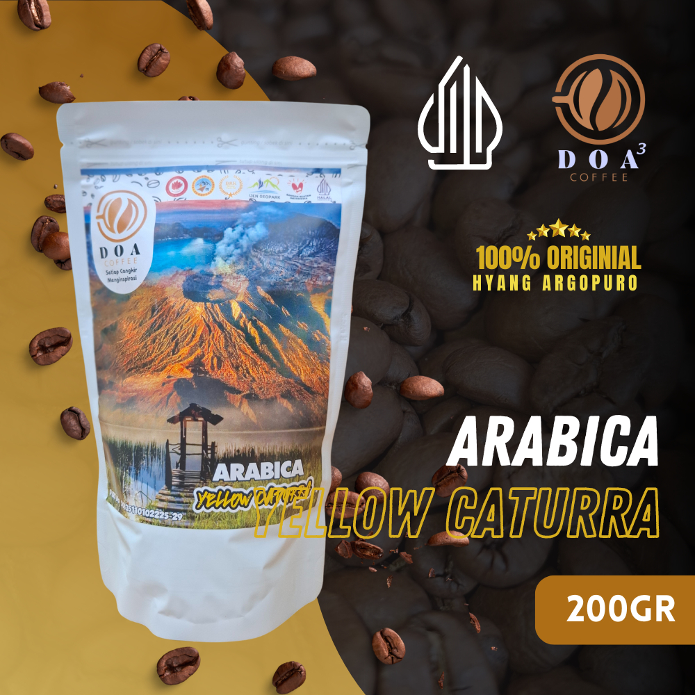 

ARABICA YELLOW CATURRA COFFEE | 100% ORIGINAL HYANG ARGOPURO - DOA COFFEE