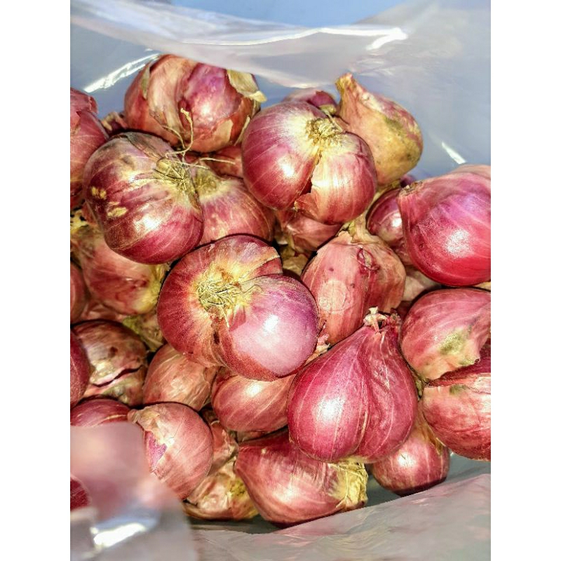 

Bawangmerahprobolinggosuper1kg .