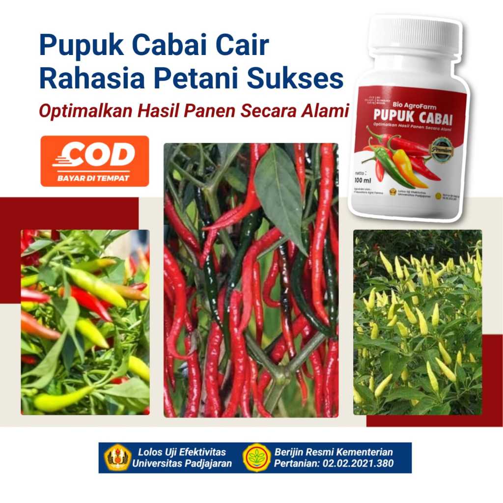 Pupuk Cabai Anti Virus Keriting Daun Menguning Pupuk Organik  Untuk Daun Kuning & Keriting Pada Cabe