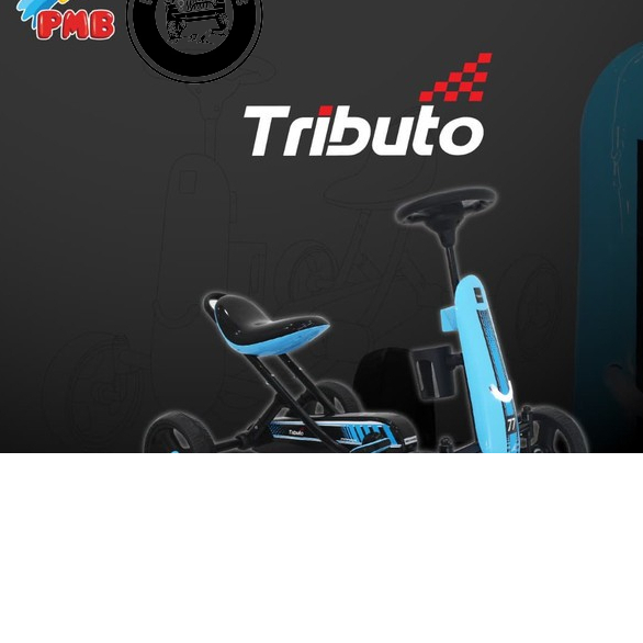 sepeda GOKART PEDAL 101 TRIBUTO G-101