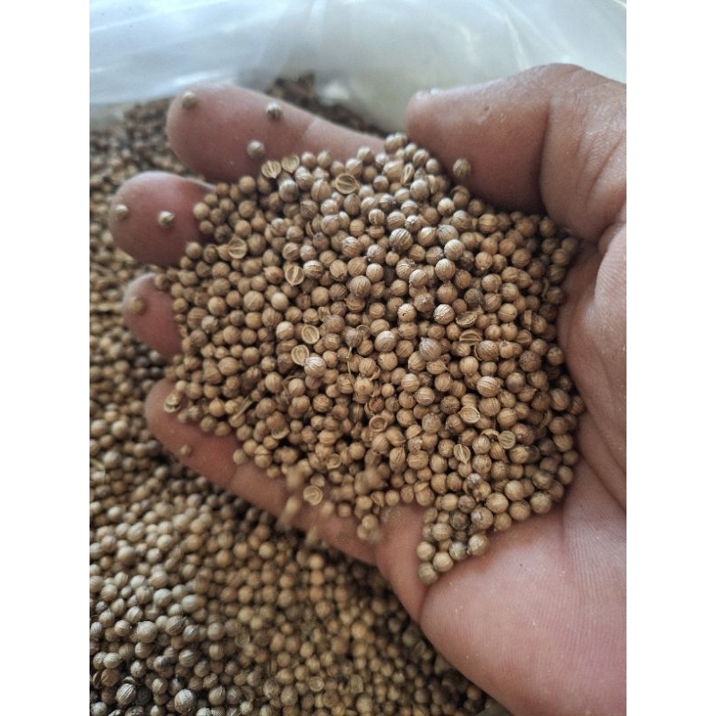 

Ketumbar Hitam 100 Gram/Ketumbar Hitam 250 Gram/Ketumbar Hitam 500 Gram/Ketumbar Asli/Ketumbar Original