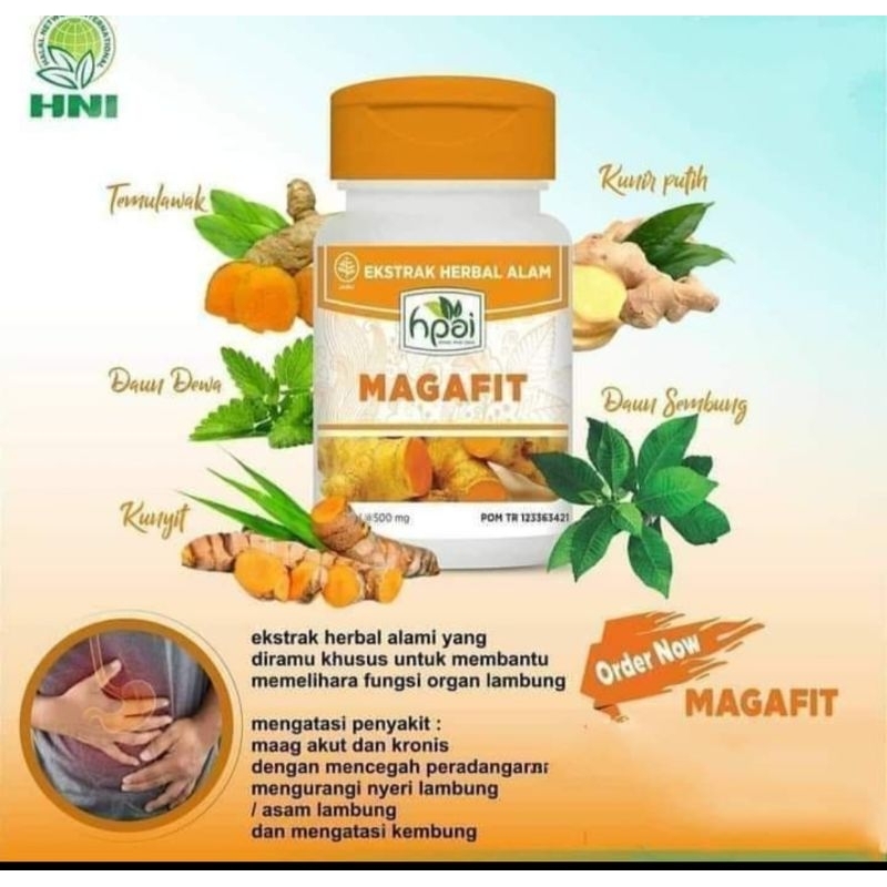 Magafit Obat Herbal Untuk Maag - HNI HPAI
