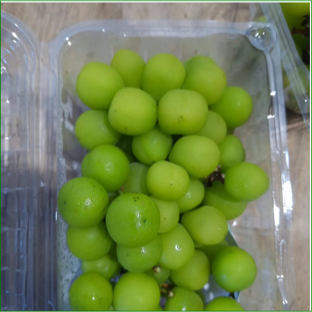 

Anggur Shine Muscat 500 gram