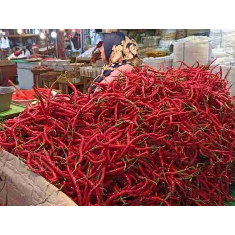 

Cabai Keriting 500gram