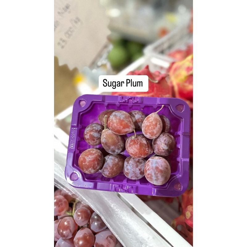 

SUGAR PLUM TOKO BUAH HANIN