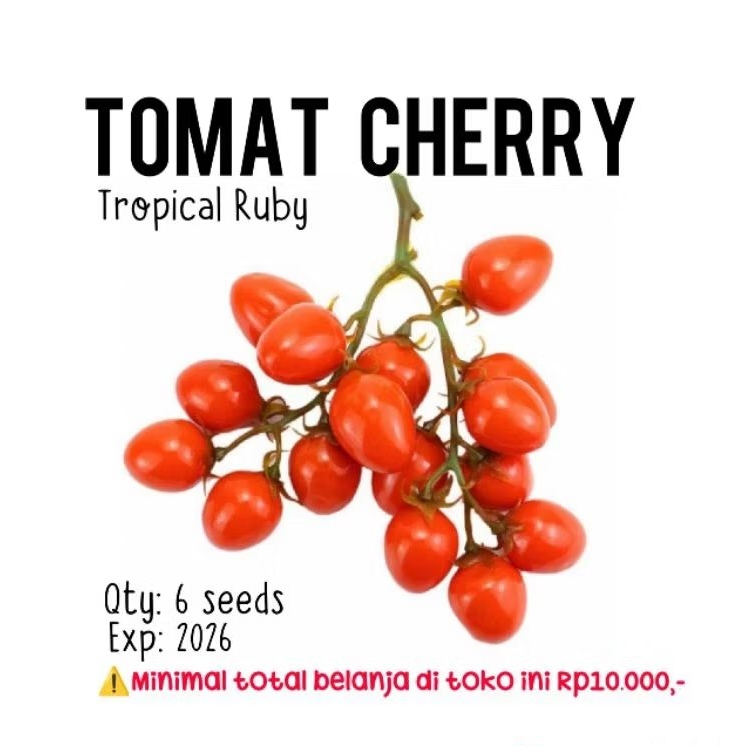 6 biji - Benih Tomat Cherry Tropical Ruby