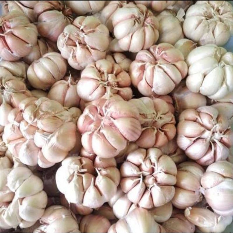 

BAWANG PUTIH FRESH 1 KG