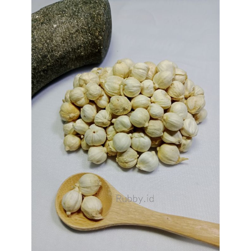 

Kapolaga Bersih Rencengan