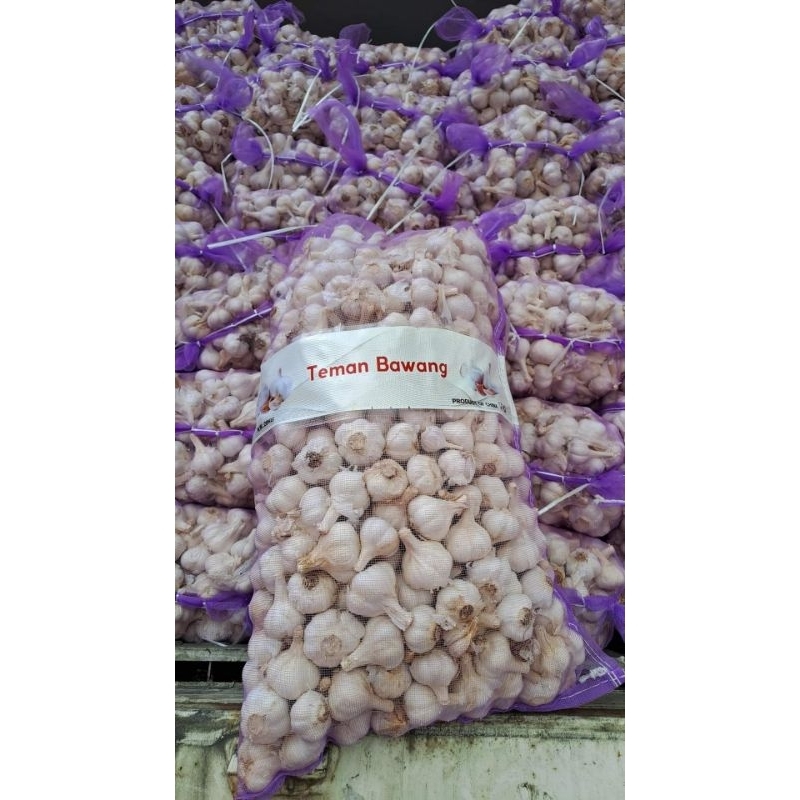 

bawang putih sinco 500 gram