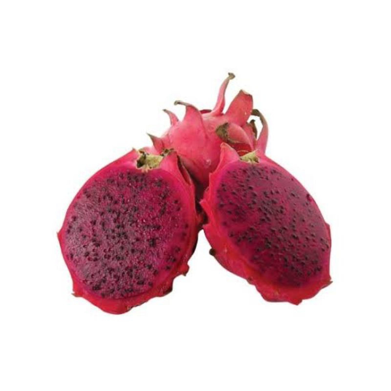 

Buah naga 1 kg