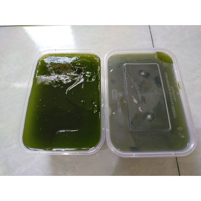 

PAKET 2 CINCAU HIJAU 1000ml