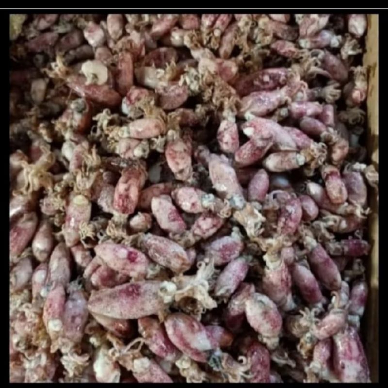 

Baby Cumi Asin Kualitas Super Fresh 250 gram