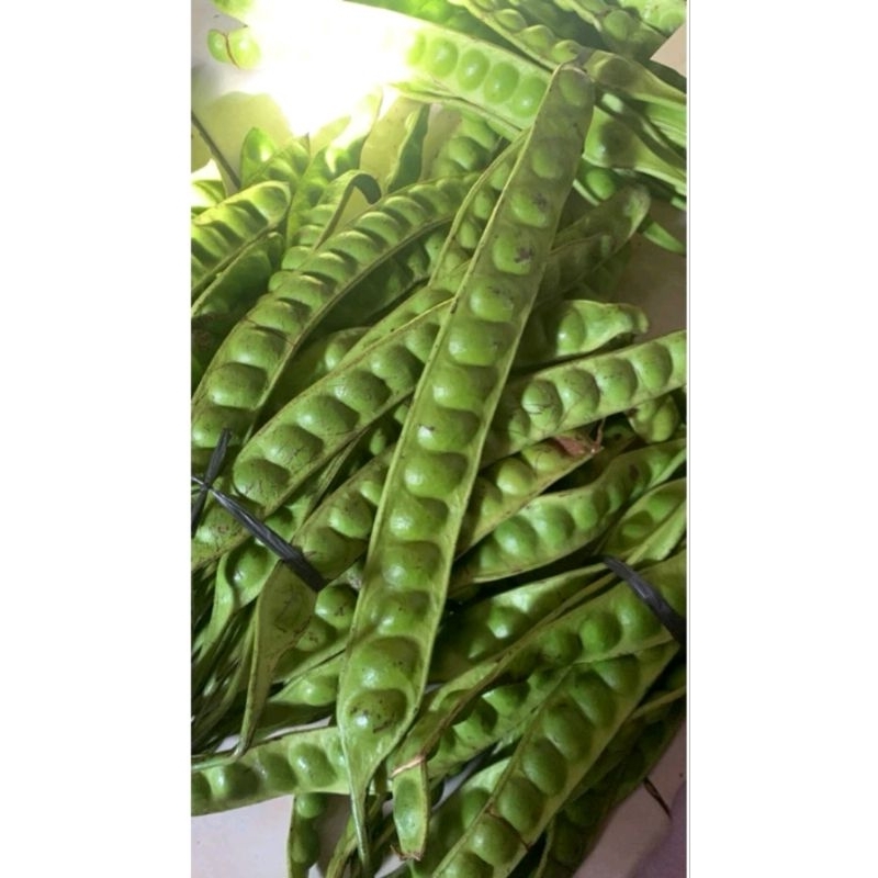 

pete tua lokal promo 15 papan ( 15/16 biji @ papan )