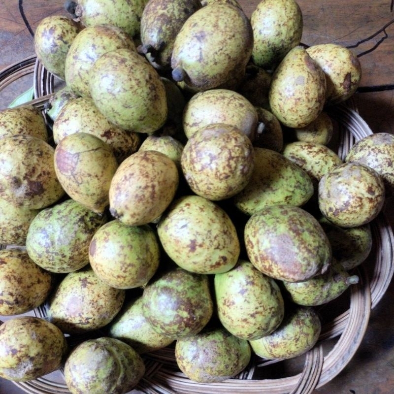 

matoa hijau super 500 gram