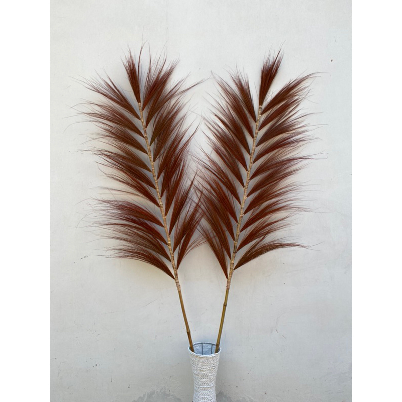 STICK RAYUNG / STICK RAYUNG BUNGA KERING / RAYUNG KERING / RAYNG PANJANG/ HOME DECORE / AESTETIC / B