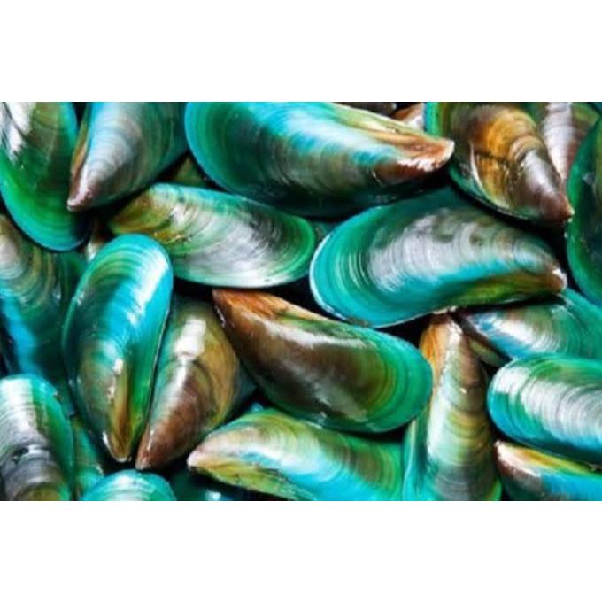 

Kerang Ijo Fresh 1 KG