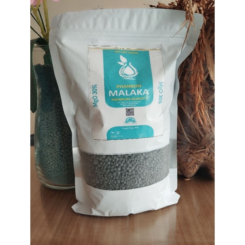 Pupuk-Pupuk Magnesium-Pupuk Tanaman-Pupuk Padi