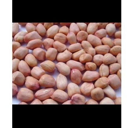 

KACANG TANAH KUPAS 250 gram
