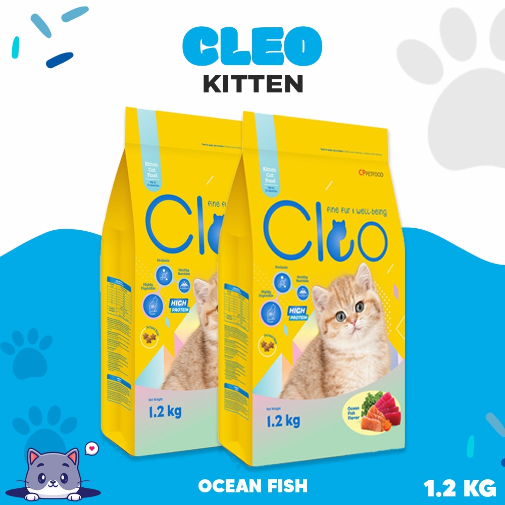 CLEO KITTEN OCEAN FISH - Makanan Kucing Kitten