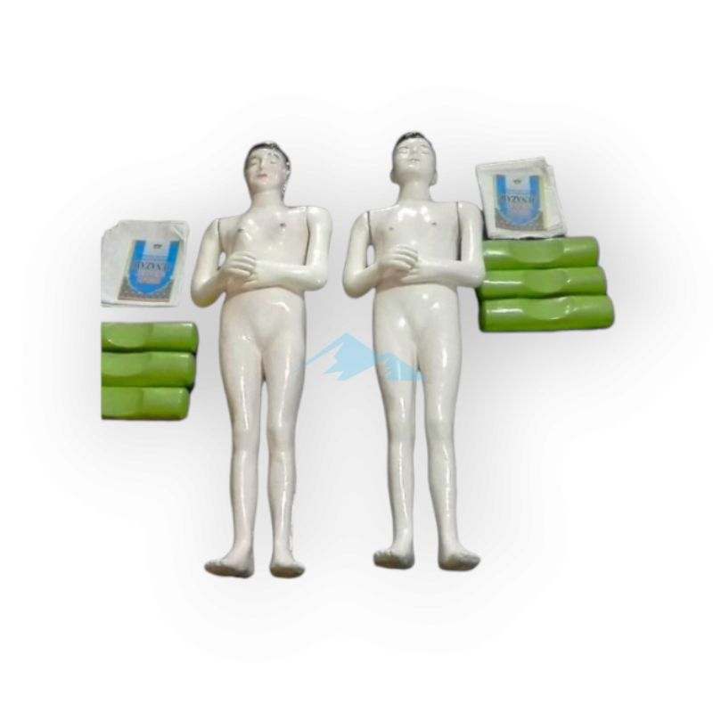 

Alat peraga Pendidikan Anatomi Torso Tubuh Jenazah laki tinggi 140cm Bahan Fiberglass