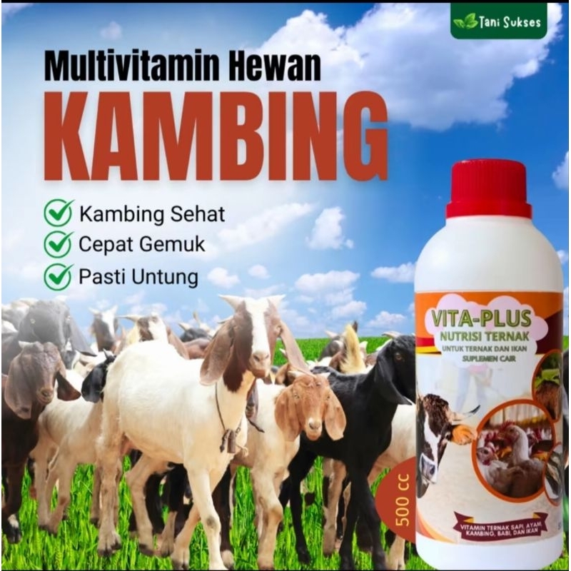 Obat Penggemuk Ternak Kambing | Vitamin Kambing agar cepat gemuk | Obat Nafsu Makan ternak kambing