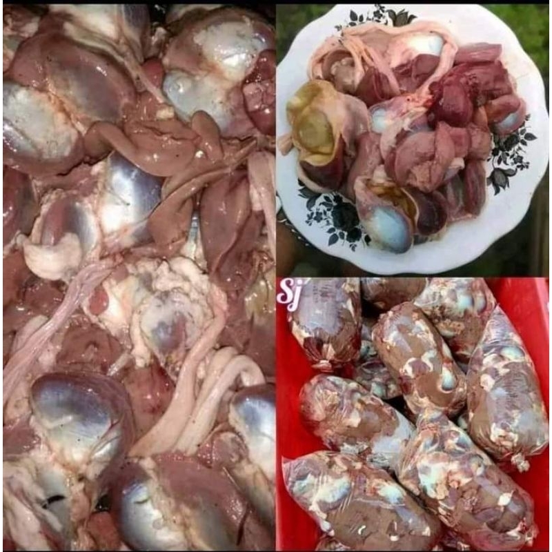 

Ati ampela ayam bersih 1kg / hati ampela ayam bersih frozen 1kg