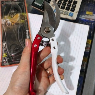 Gunting Dahan Bengkok Gagang Besi/ GUNTING DAHAN BENGKOK