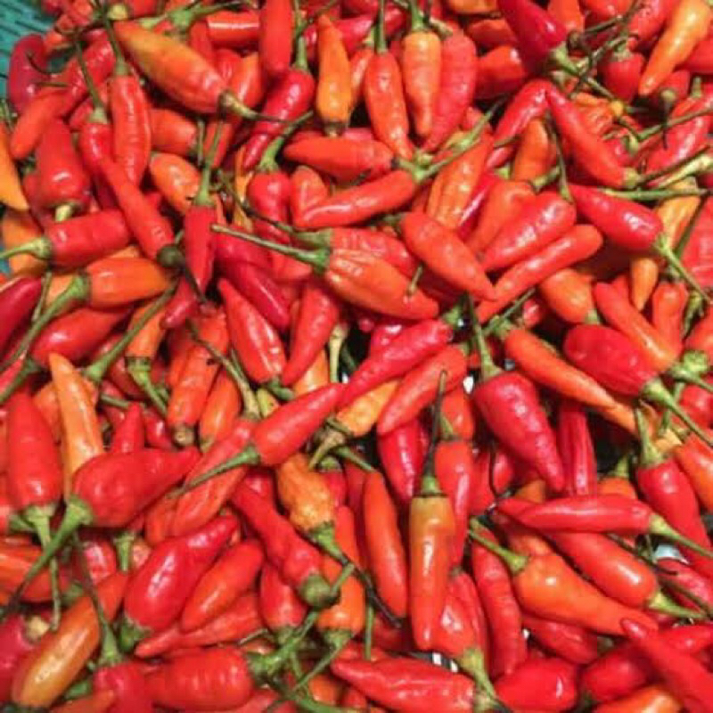 

LAPAK SEGAR CABE RAWIT 100GR